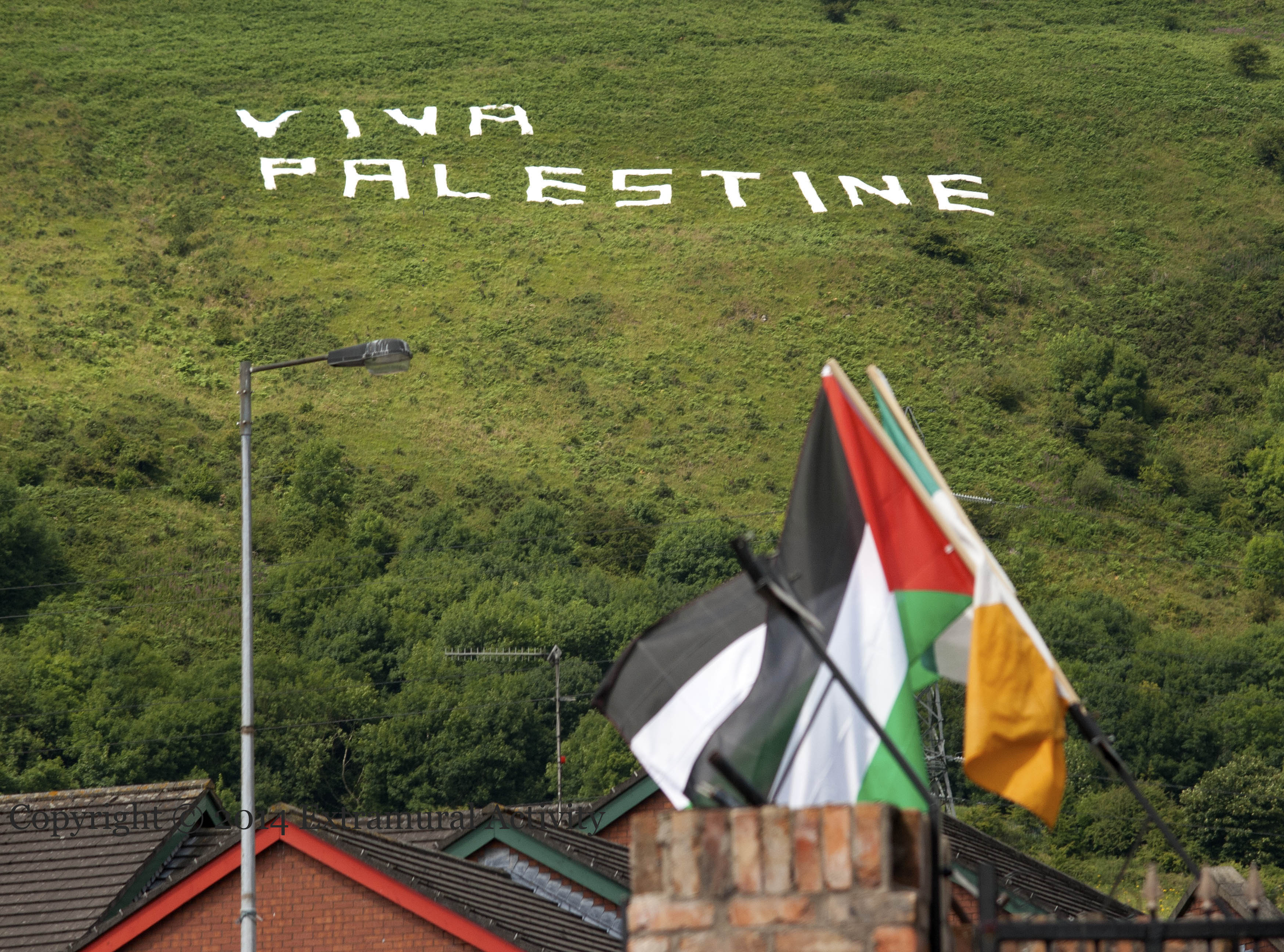 2014-08-04 VivaPalestineFlags+