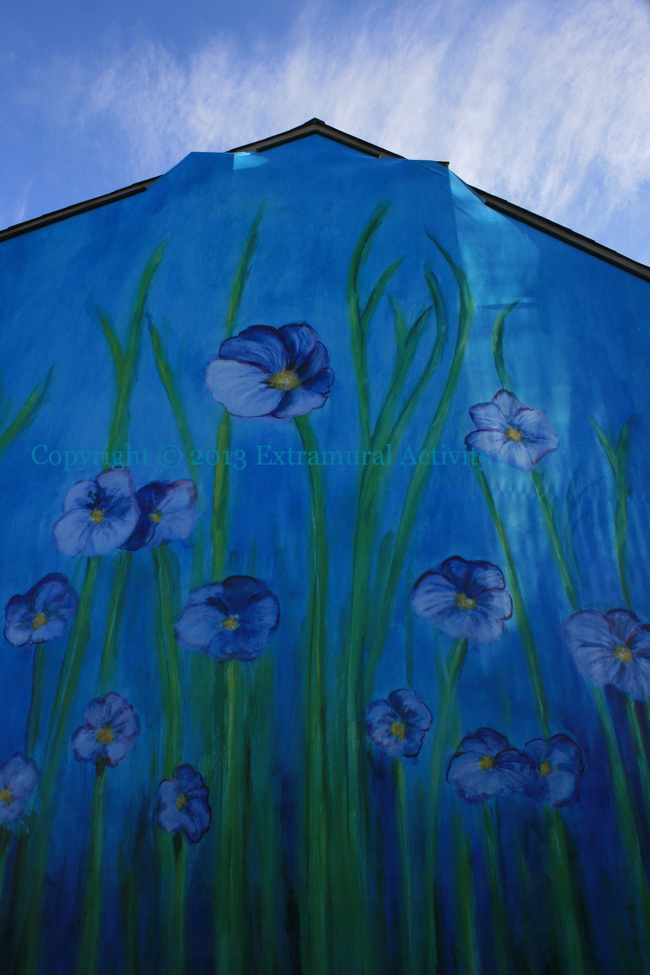 2013-01-10 Blue+