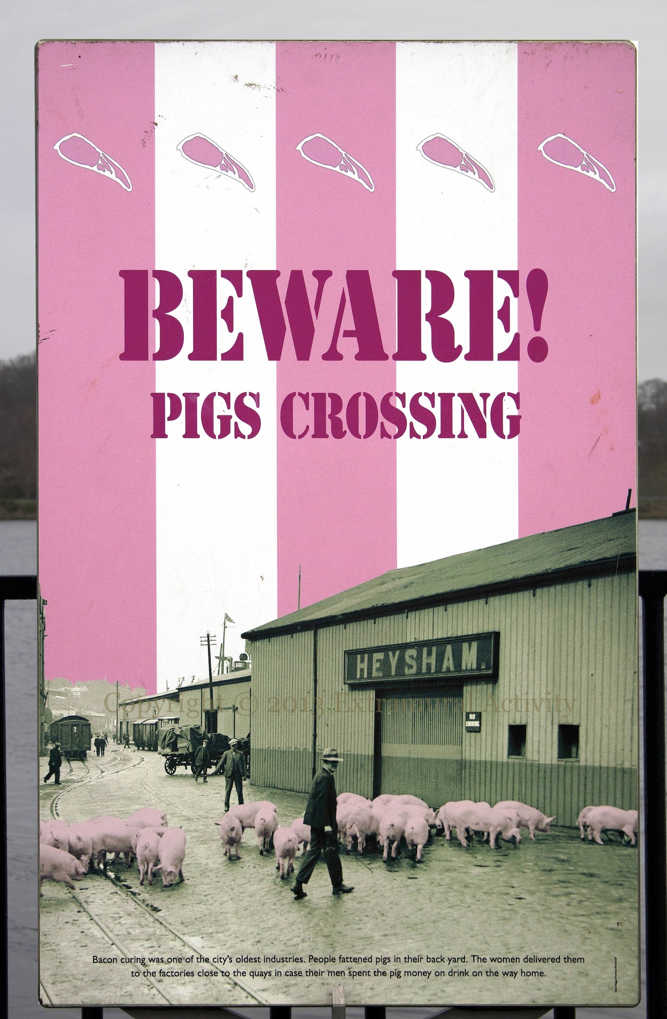 2013-02-13 PigsCrossing+