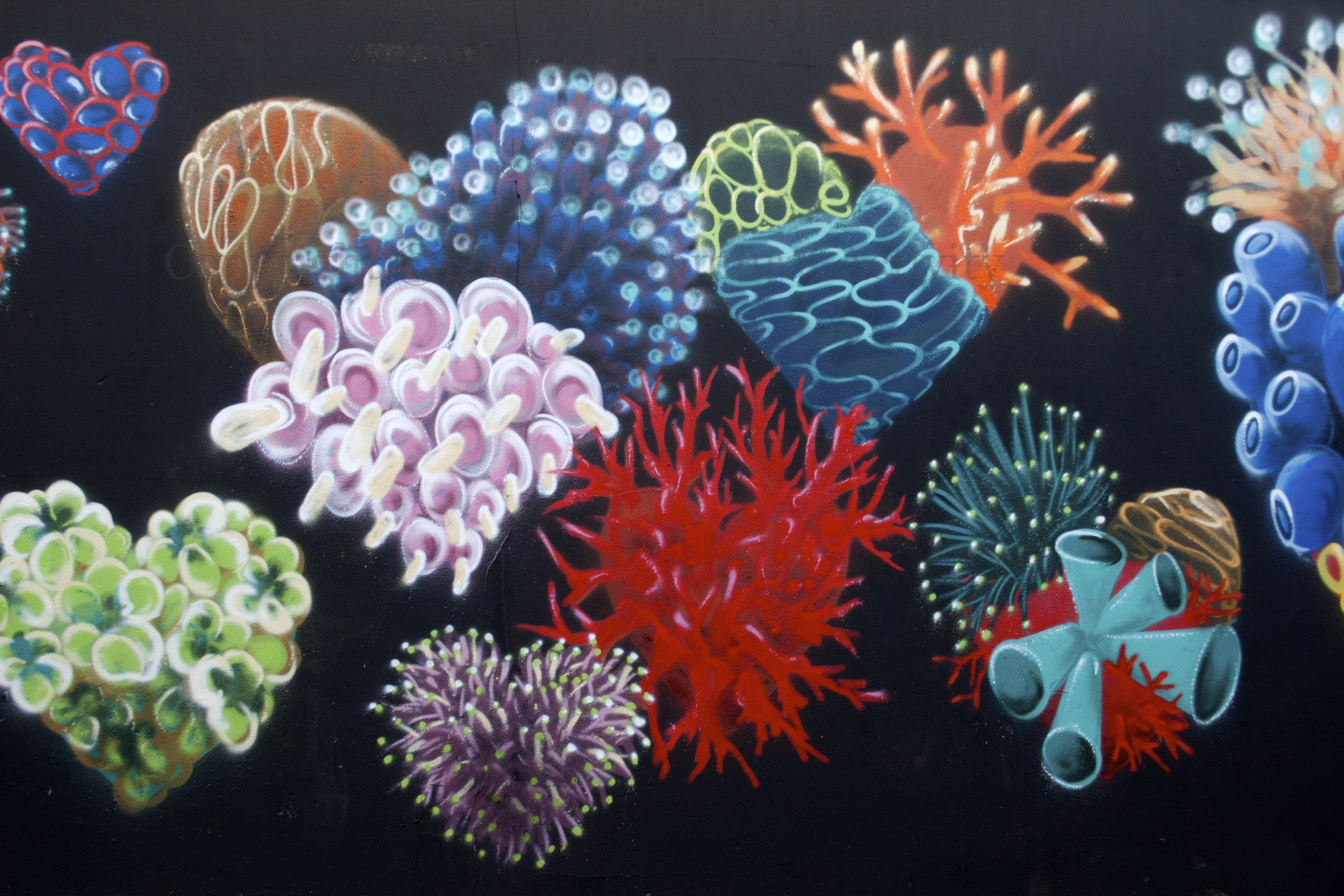 03054 2015-09-23 OneLoveLouis CNB15 Coral Hearts+