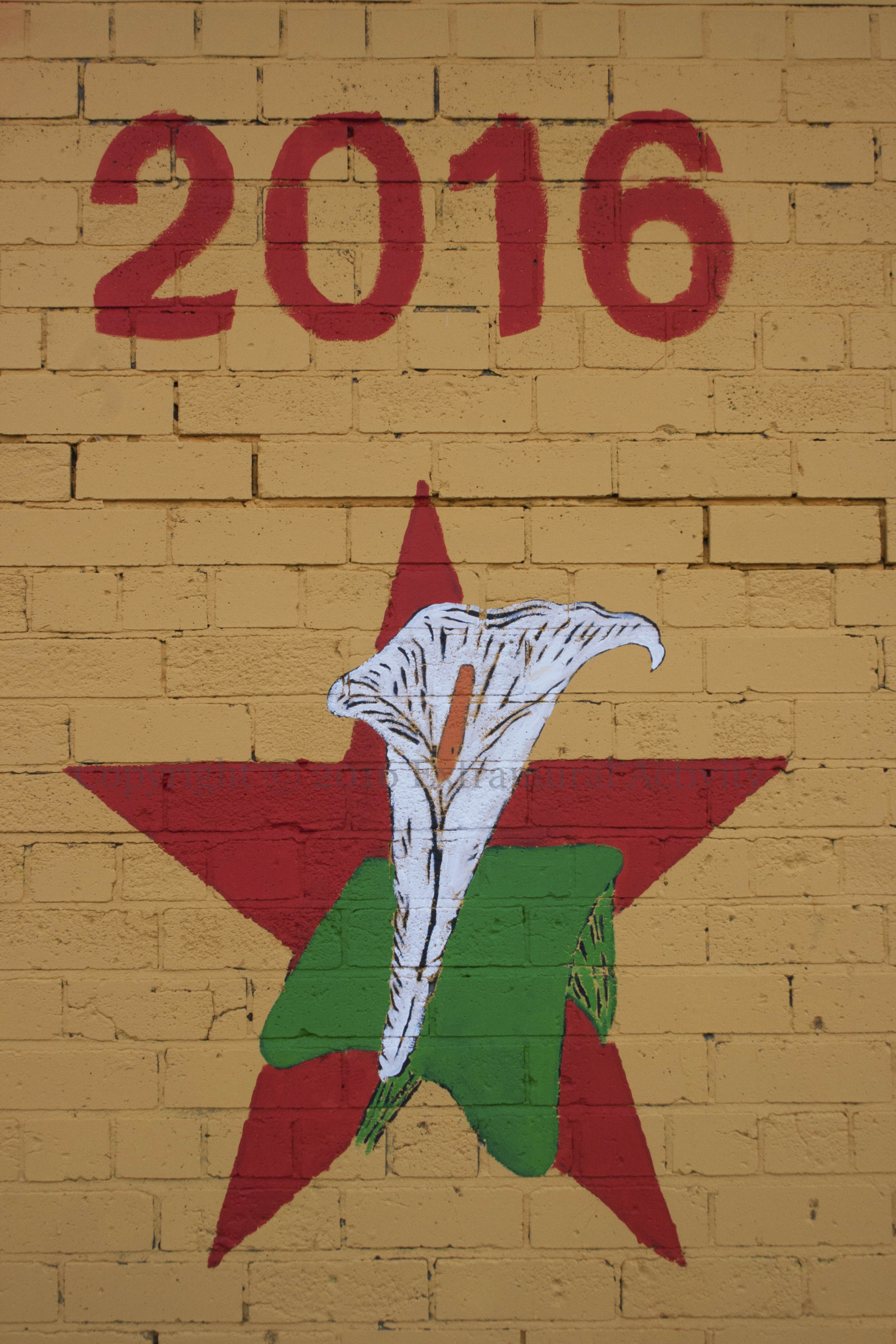 03408 2016-04-23 2016 IRSP Salute 2016+