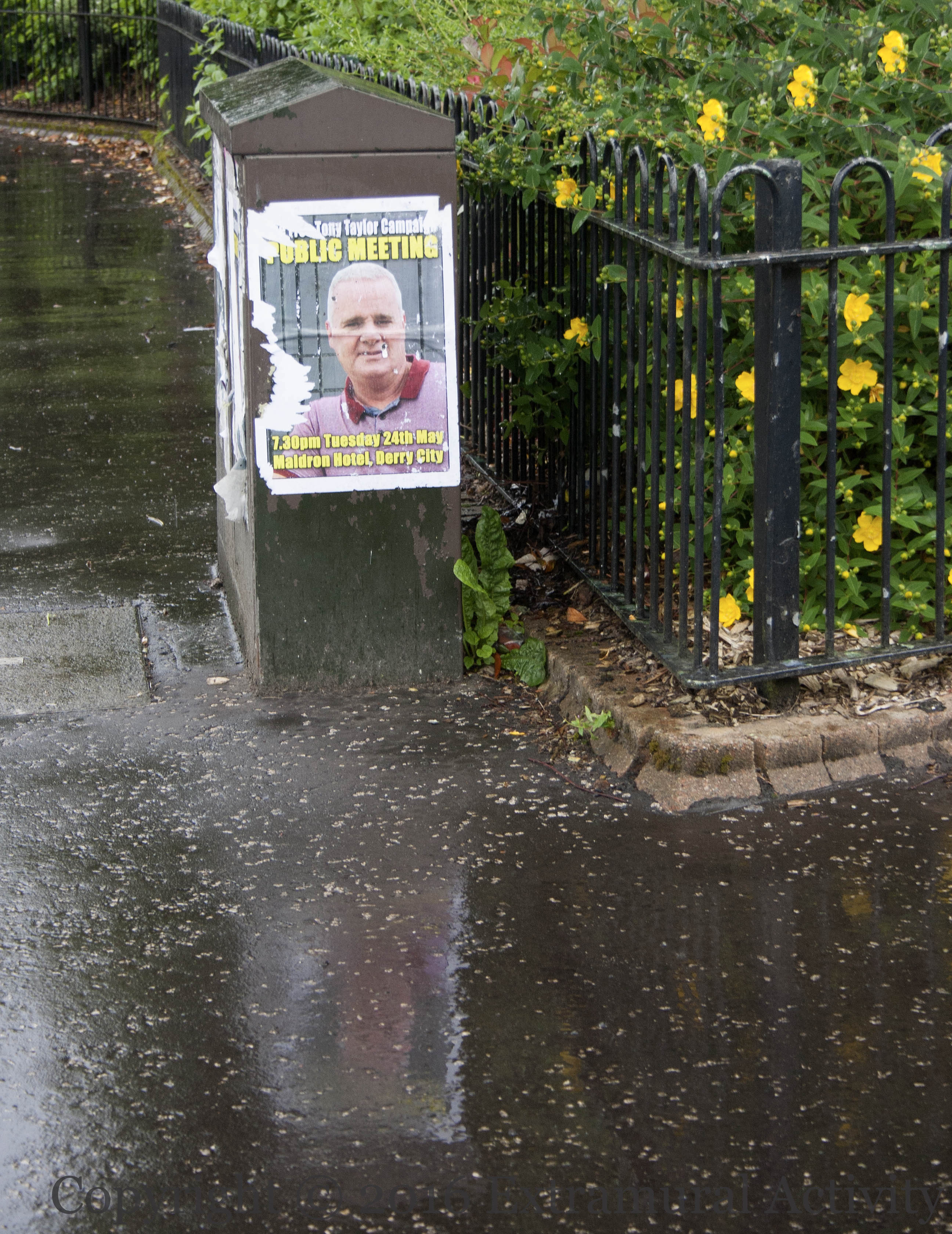 03653 2016-07-07 Tony Taylor poster+