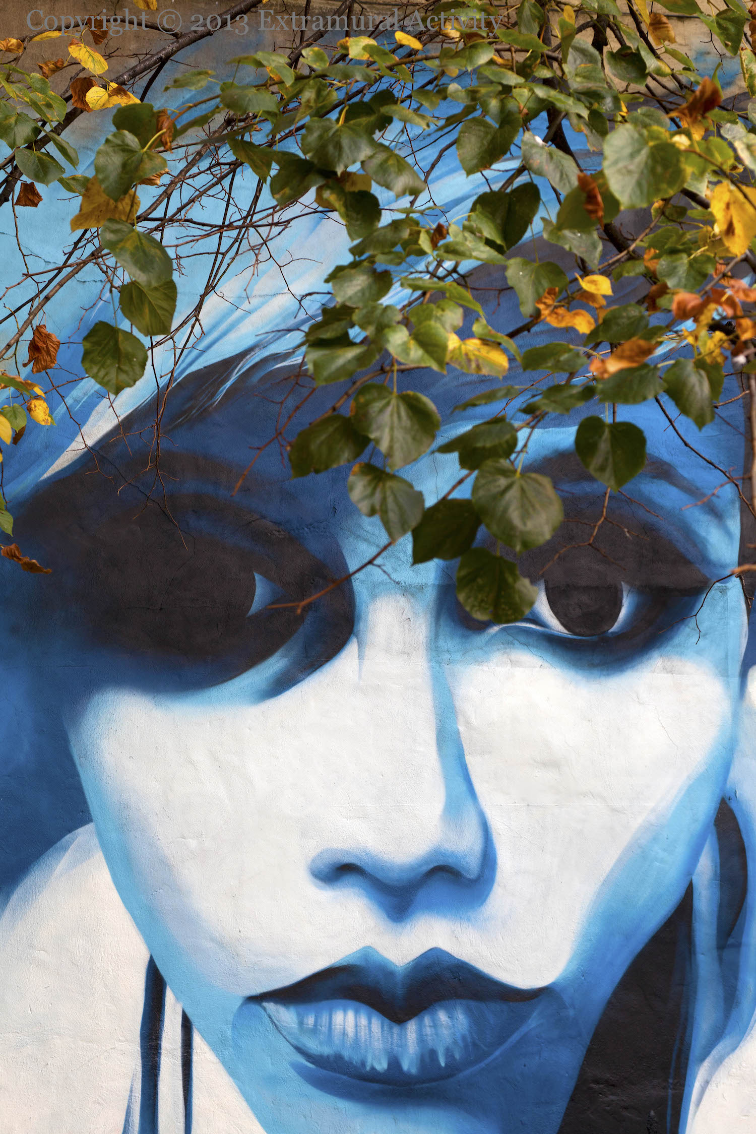 2013-09-29 BlueFaceCentre+