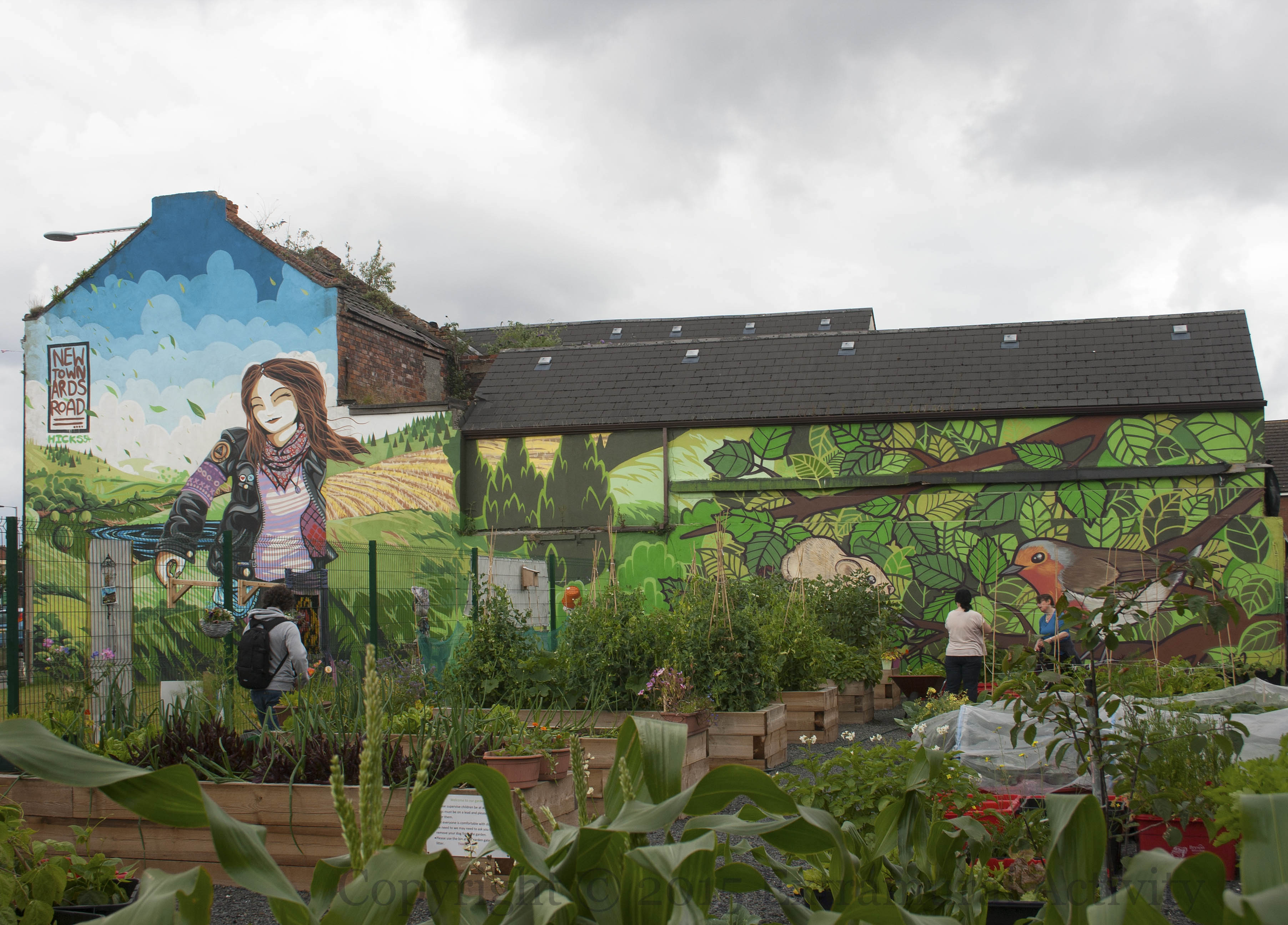 02795 2015-08-21 EBelfastCommGarden2+