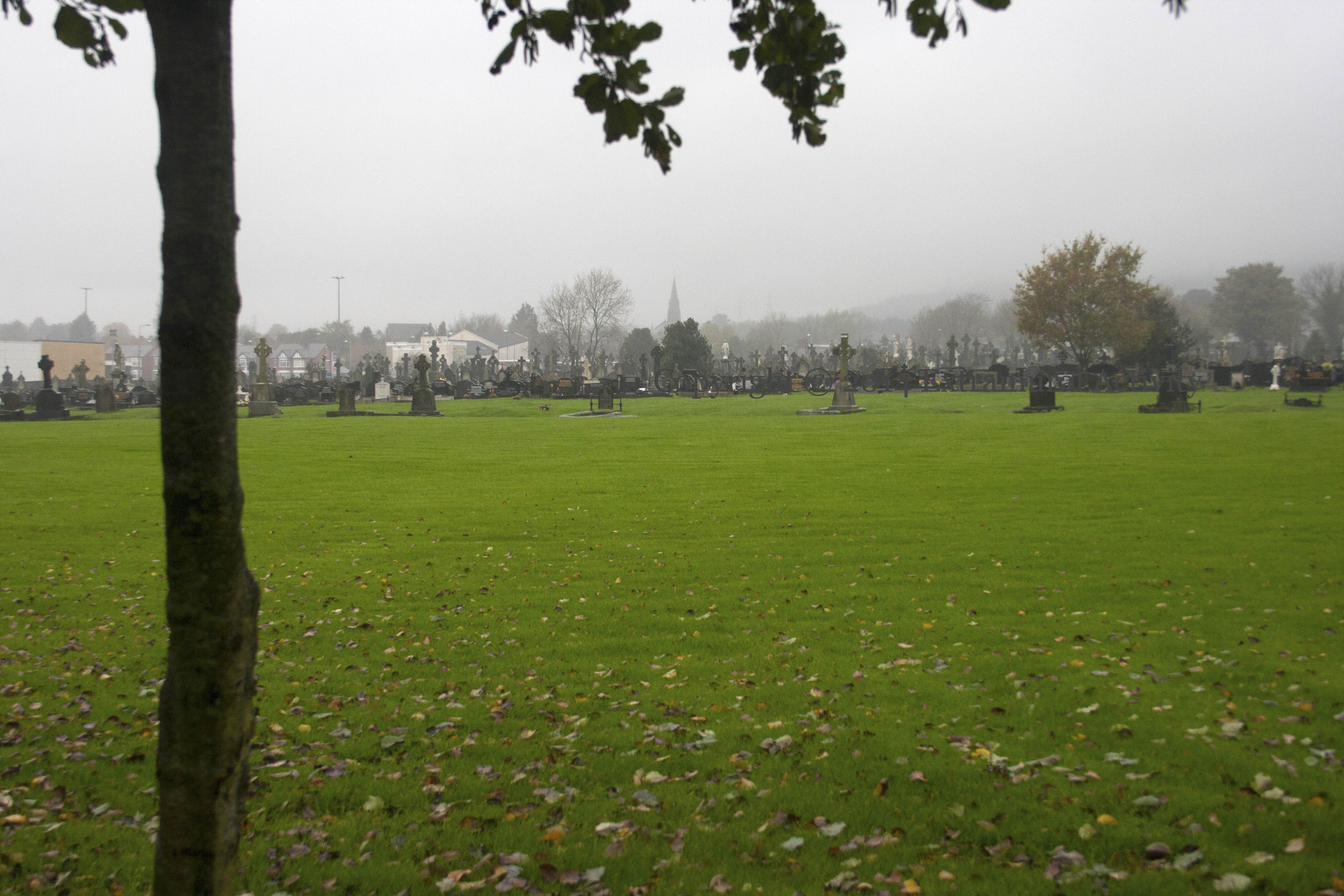 2014-11-12 PoorGravesLand+
