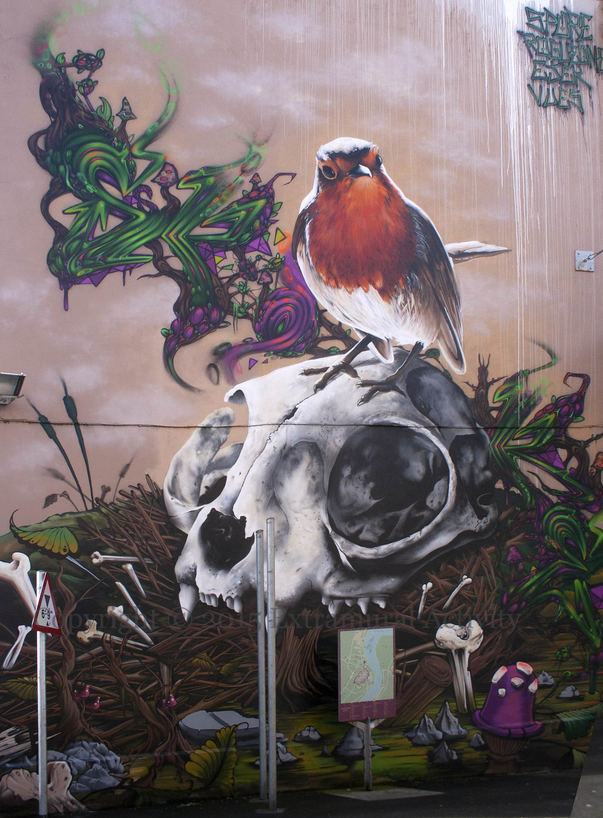 2015-08-07 RobinSkull+