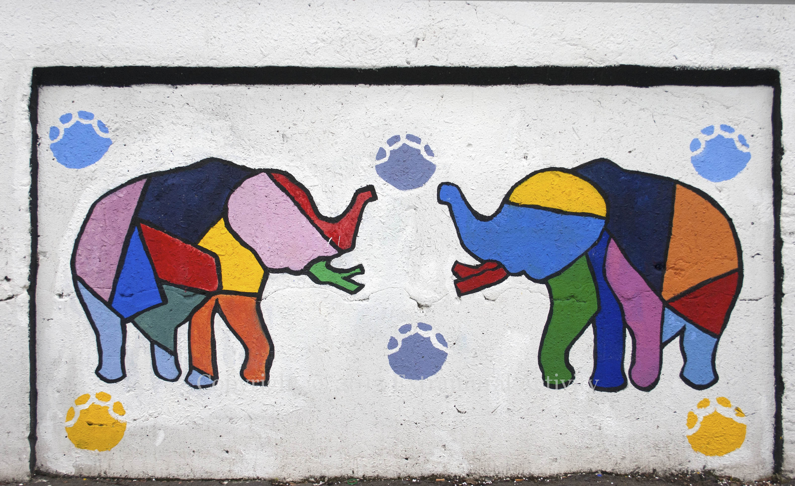 2015-03-28 BotPrimElephants+