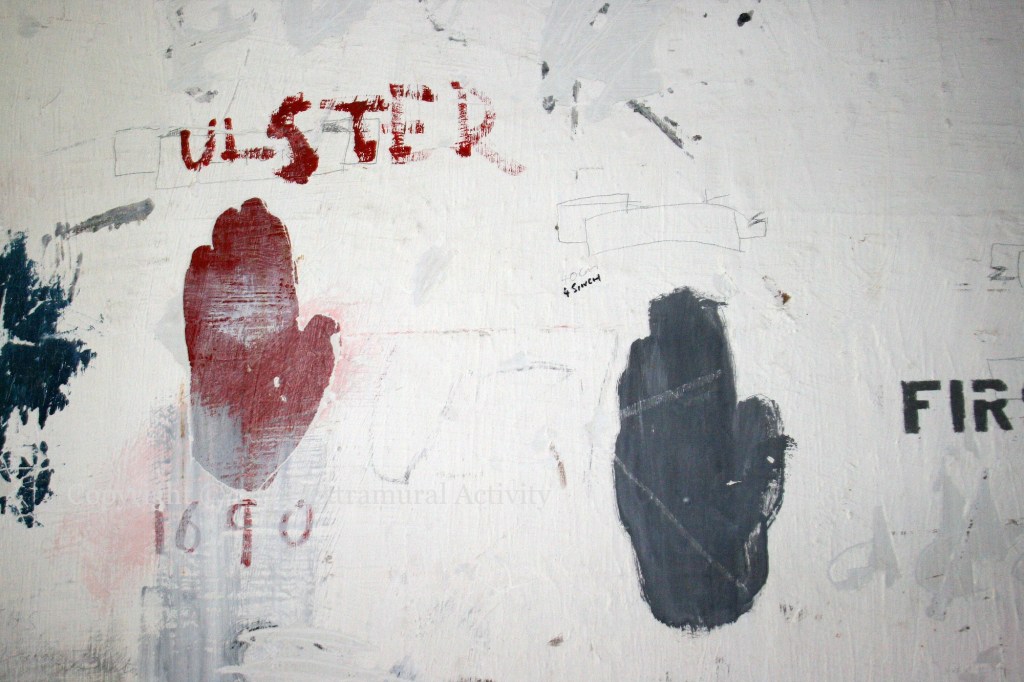 2012-11-30 UlsterFir+