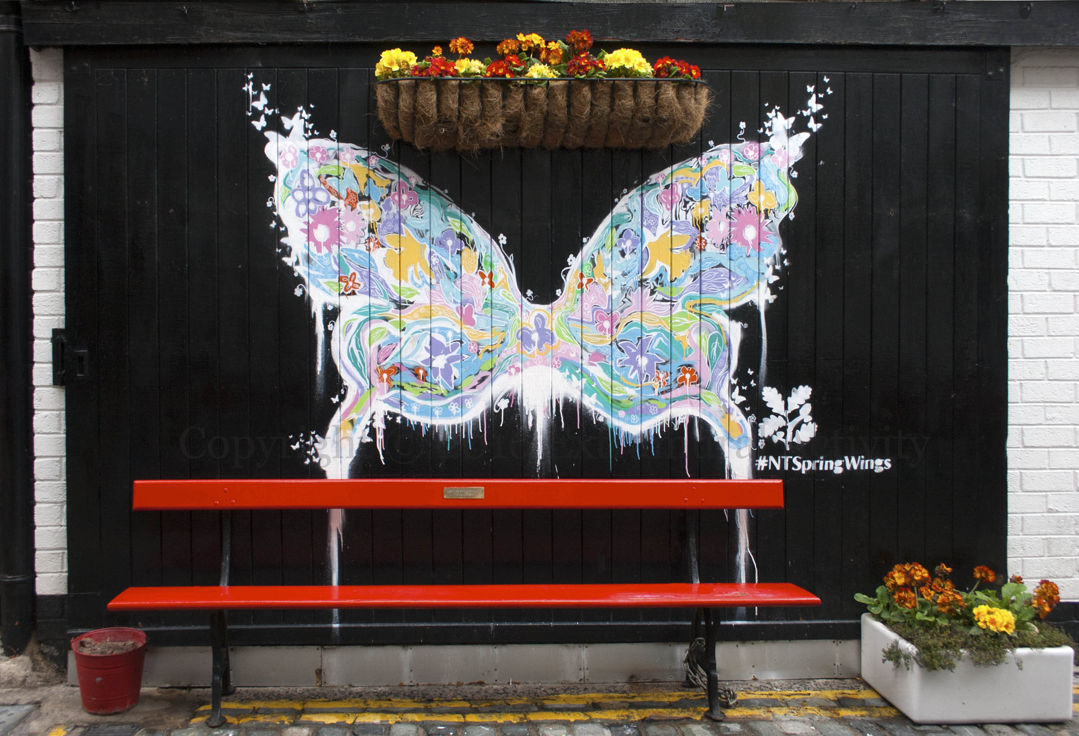 03414 2016-04-24 Spring Butterfly+