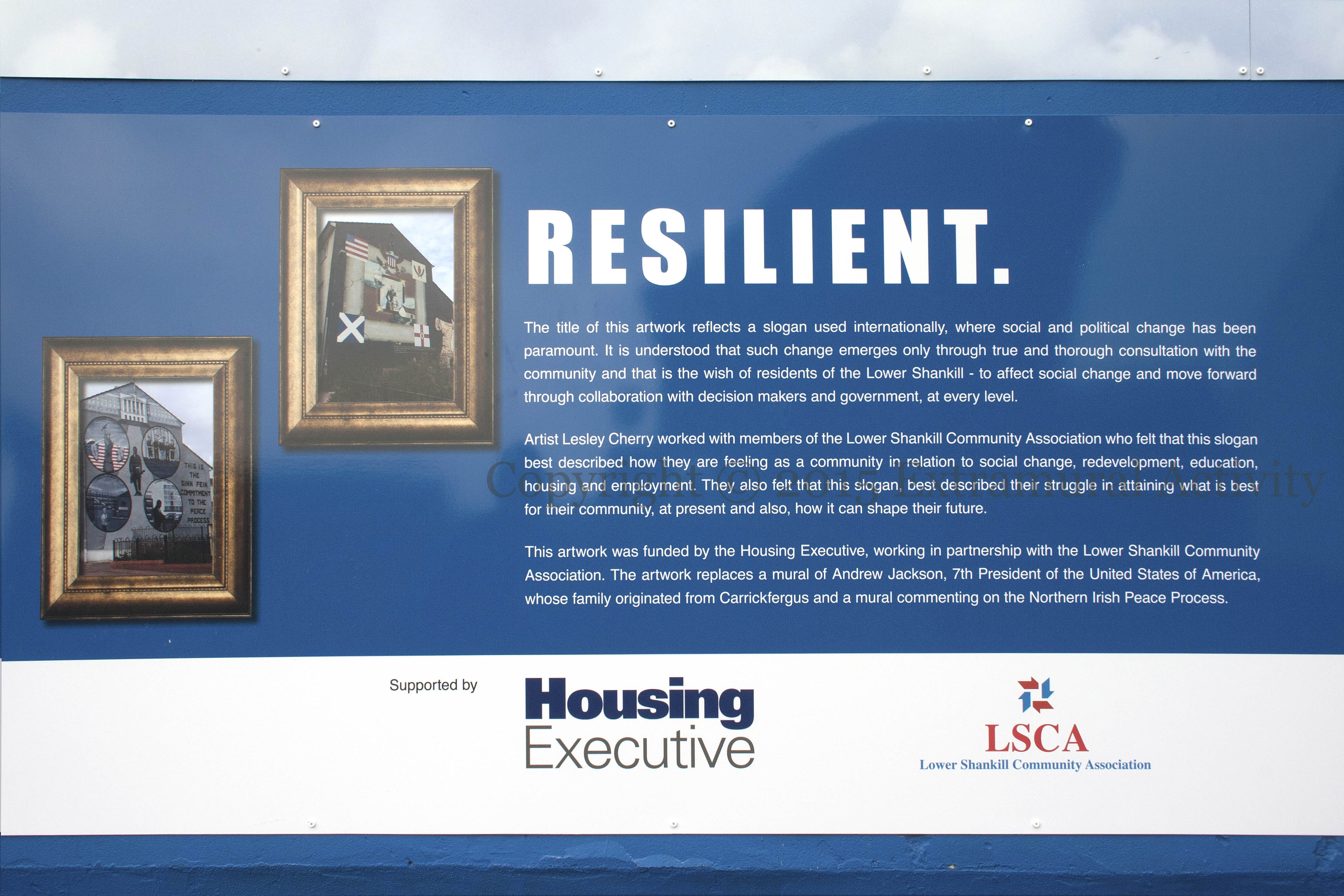 03075 2015-10-01 Resilient info+