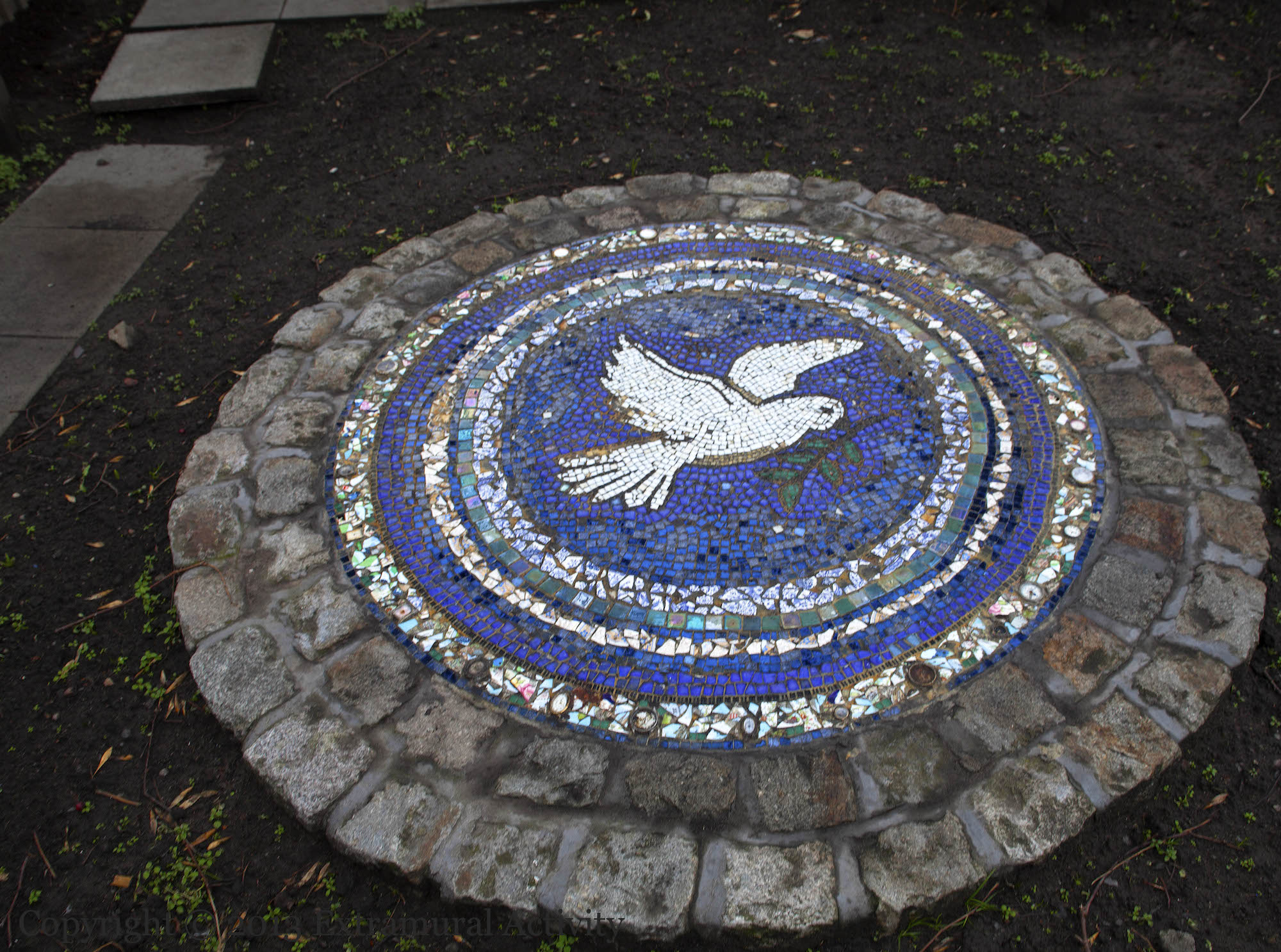 2013-12-27 Dove+