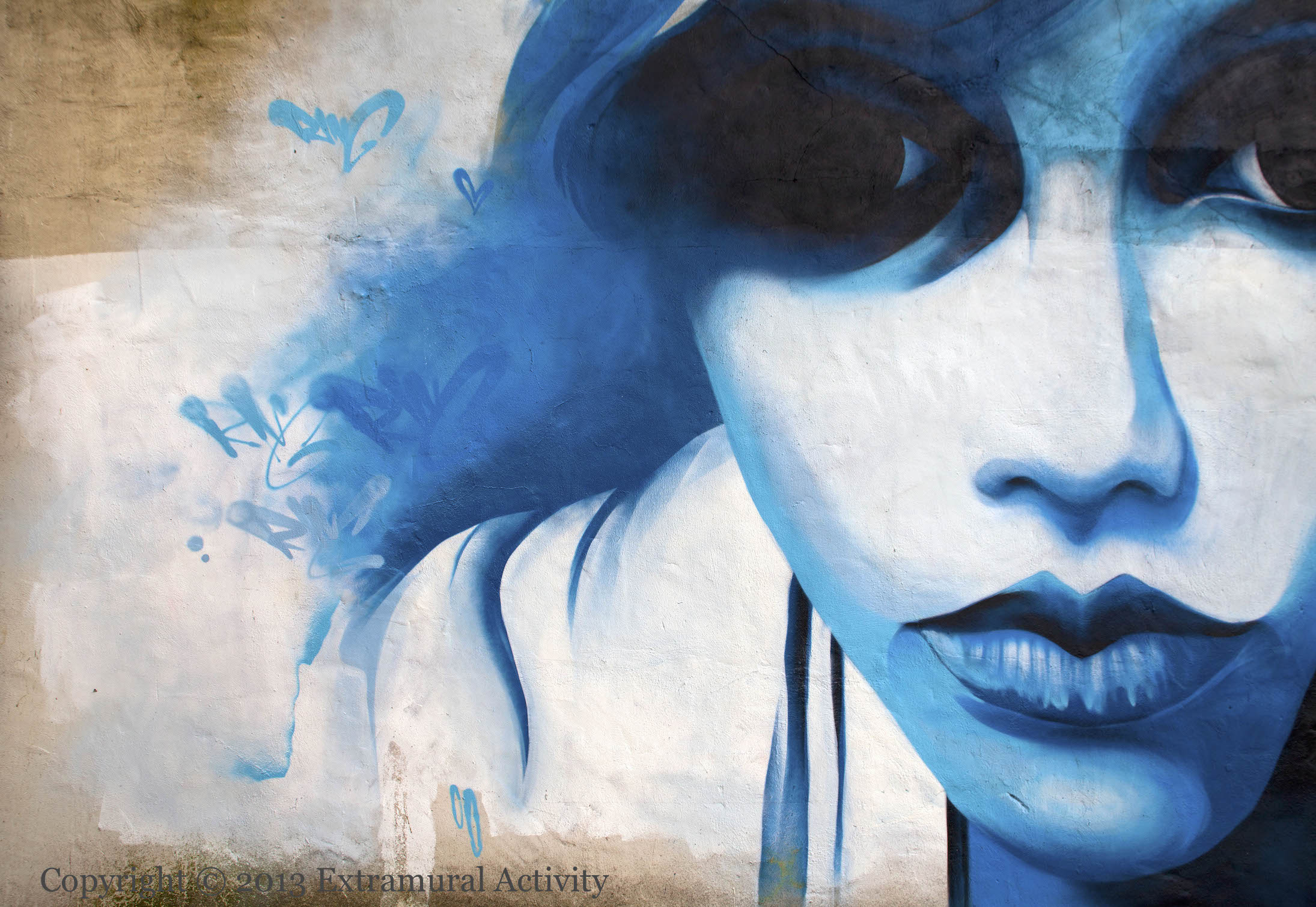 2013-09-29 BlueFaceLeft+