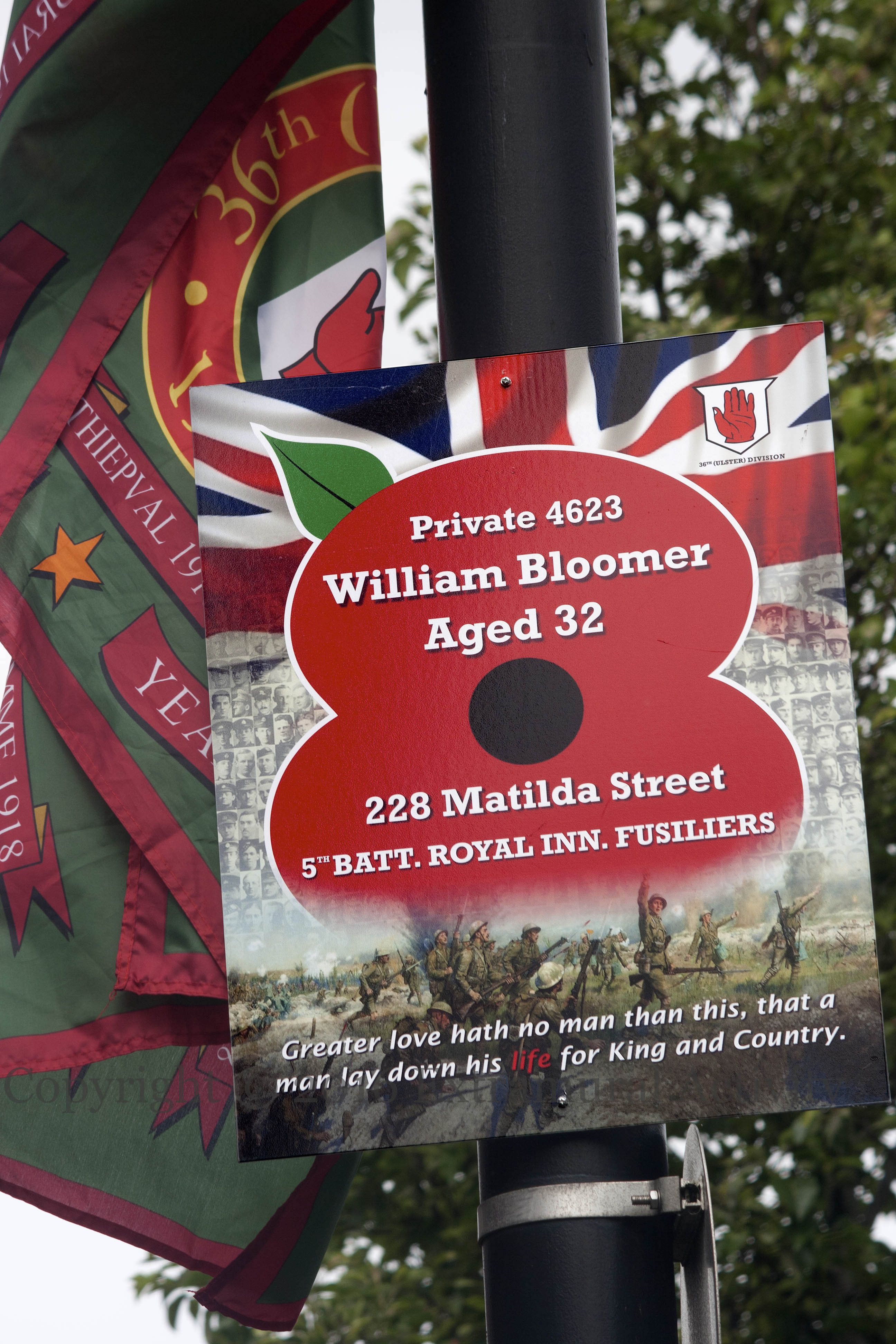 03651-2016-07-07-william-bloomer