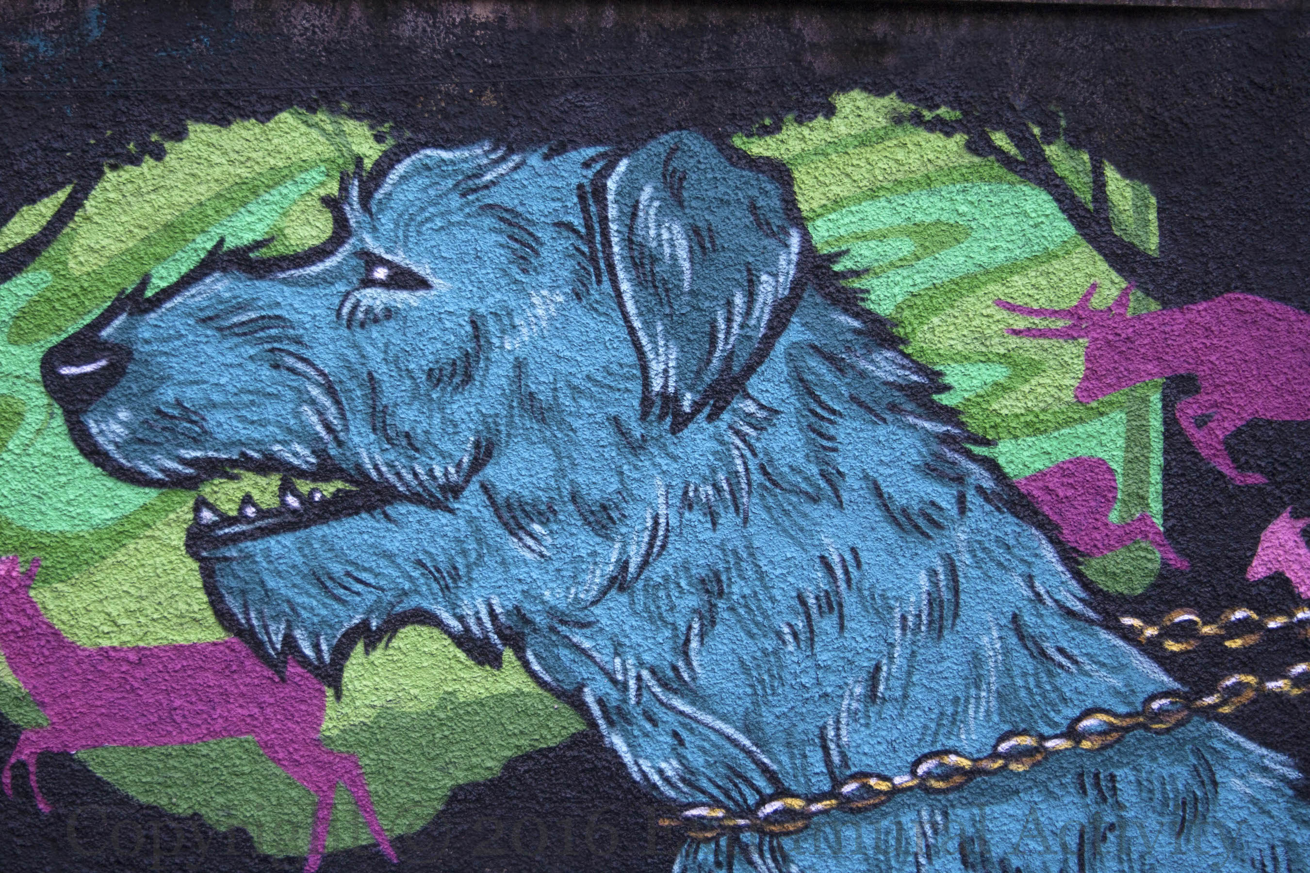 03913-2016-10-13-cnb-friz-dog