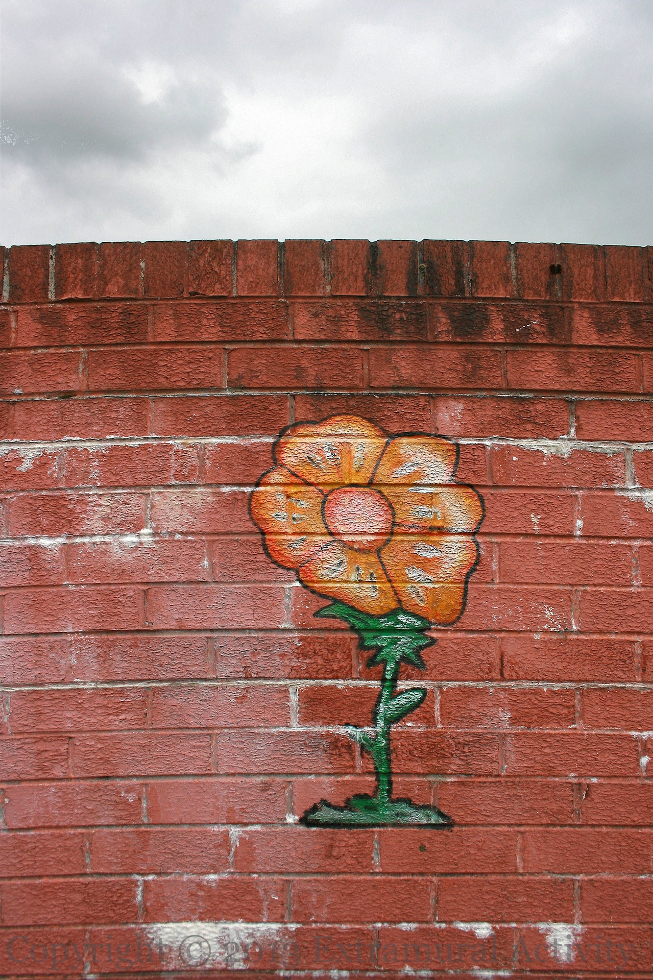 2013-08-13 LinfieldFlower+