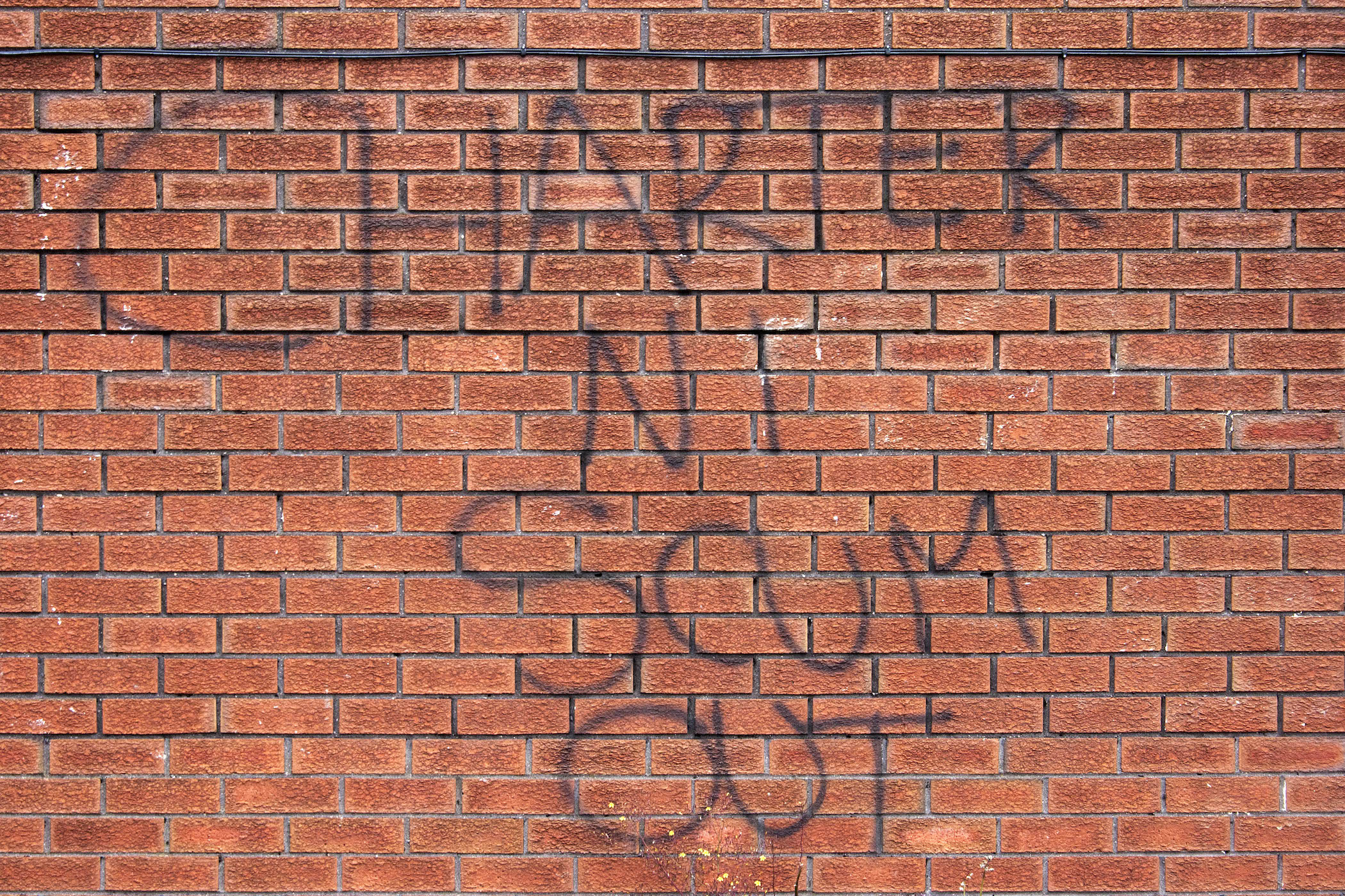 03598-2016-07-01-charter-ni-scum-out