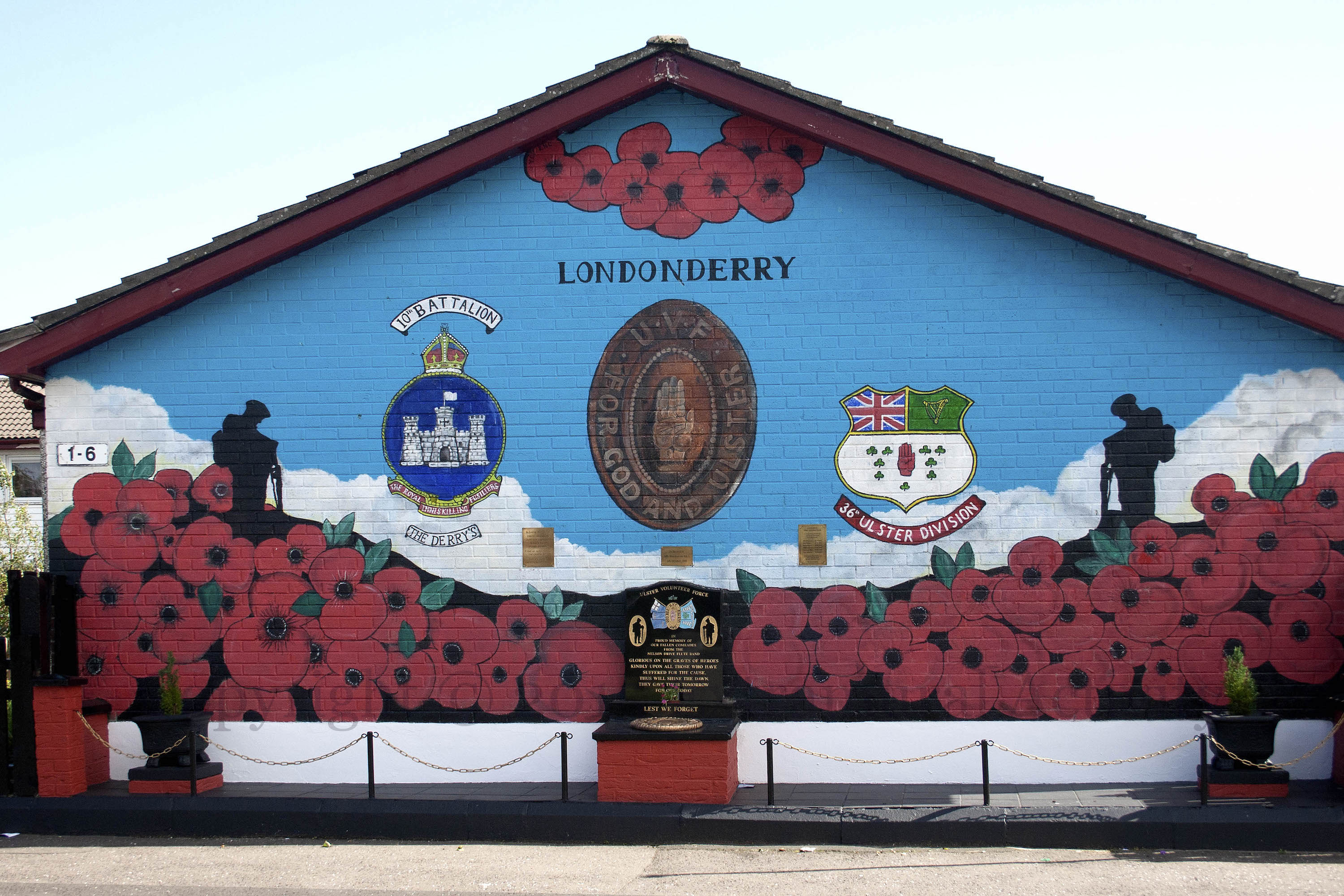 03088 2015-08-03 Sperrin Poppies+
