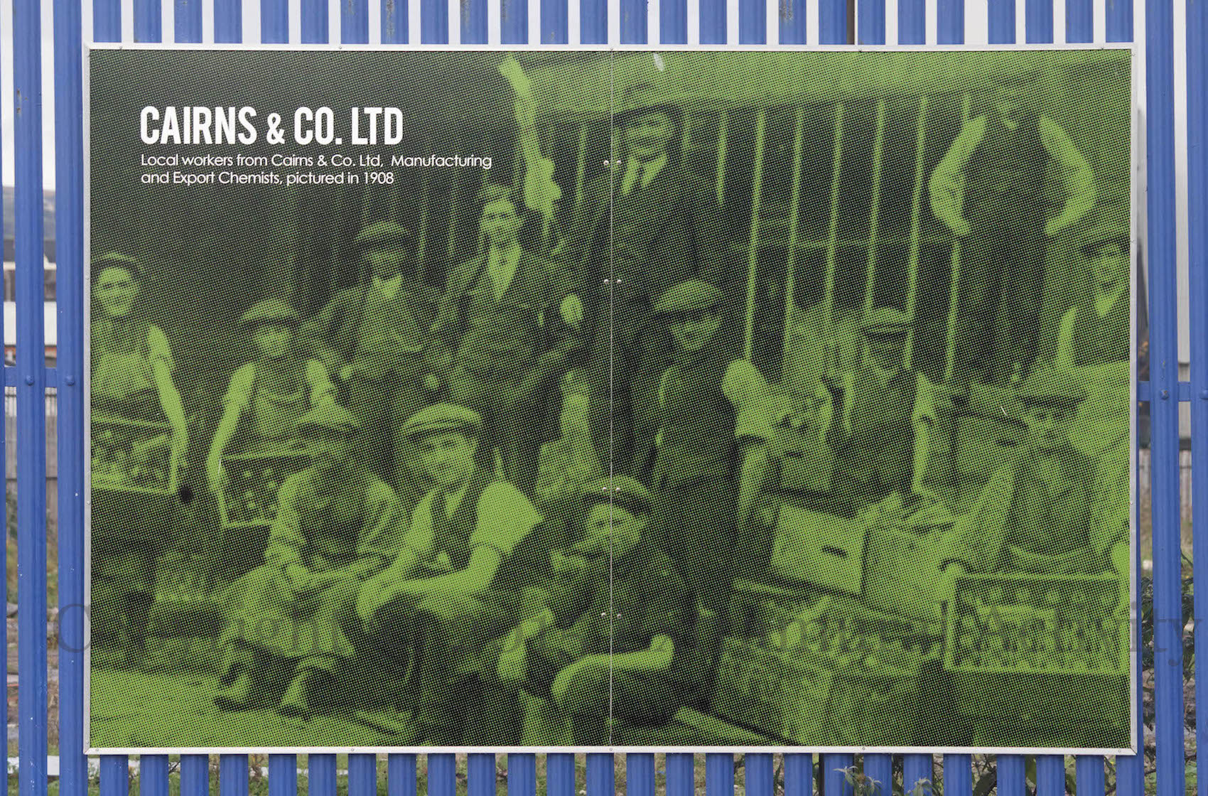 03181 2015-11-12 Cairns & Co+