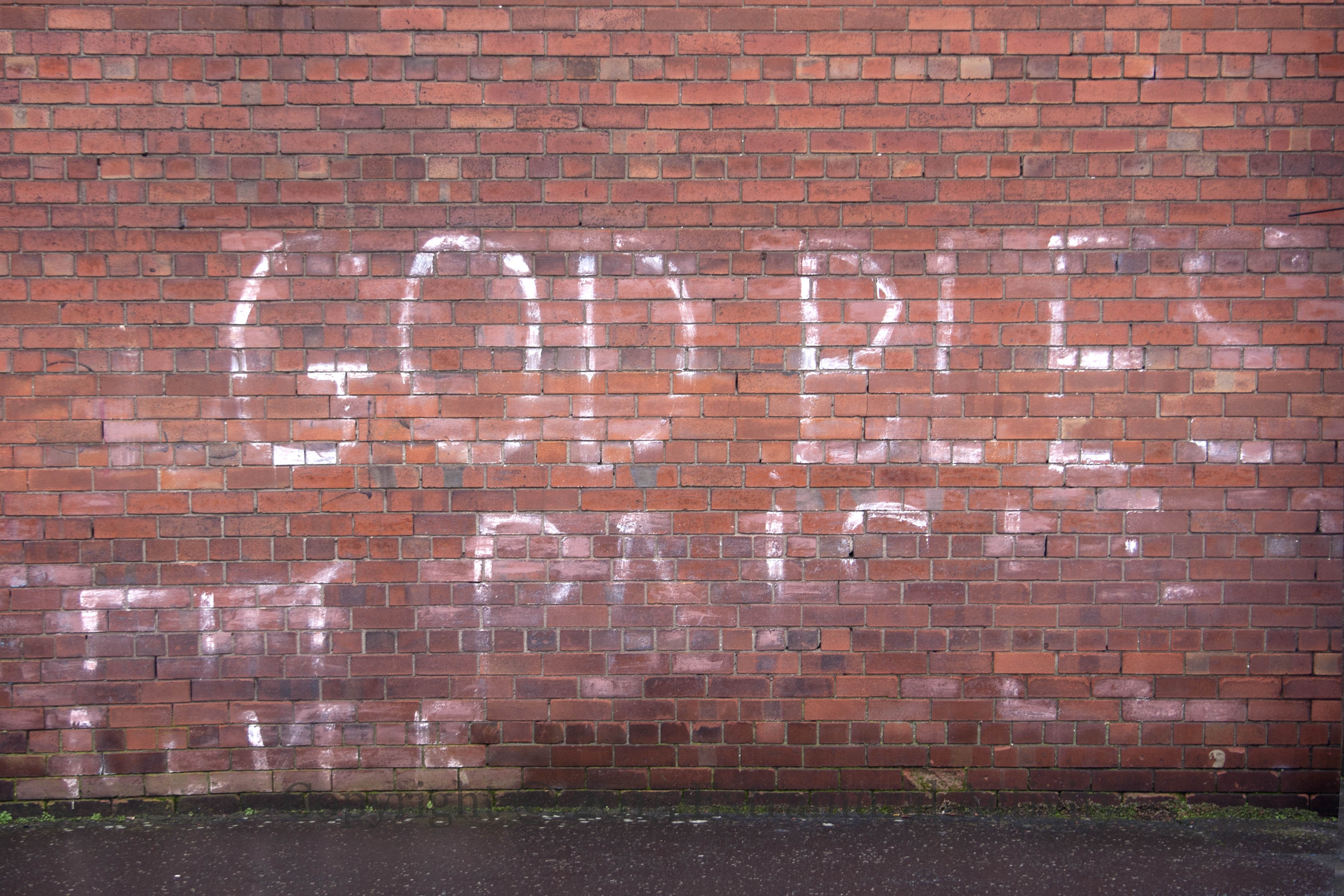 2015-02-22 GodBlessPaisley+