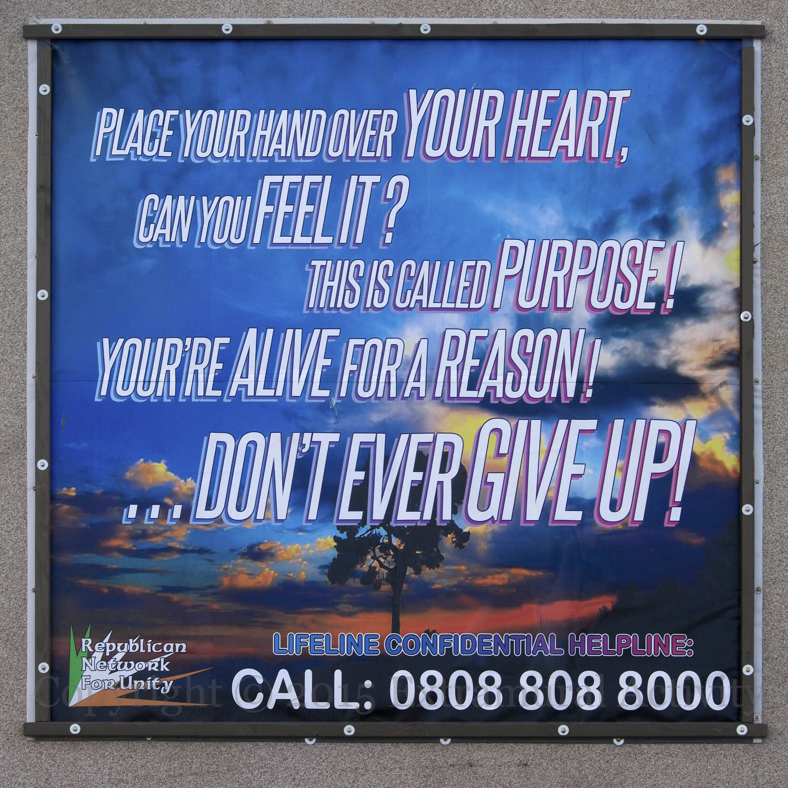 03273 2016-01-30 RNU Lifeline+