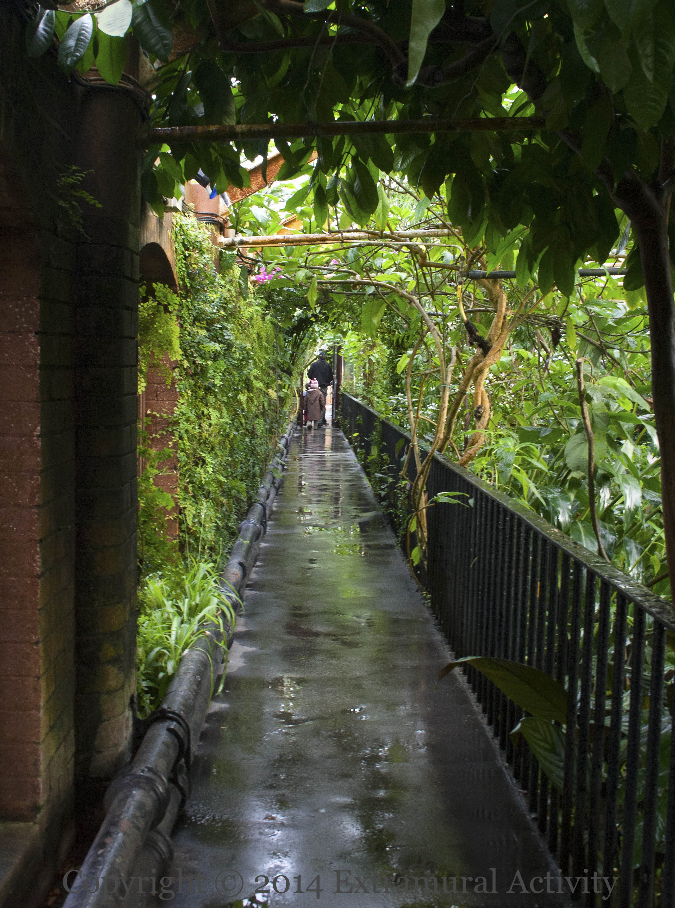 2014-11-21 BotGardens3+