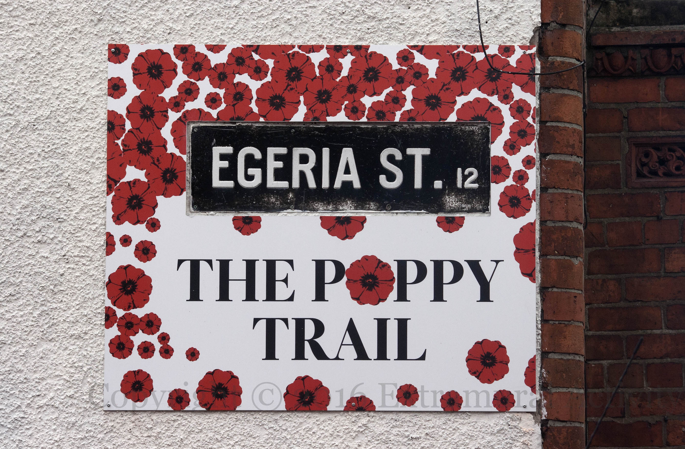 03692 2016-07-31 The Poppy Trail+