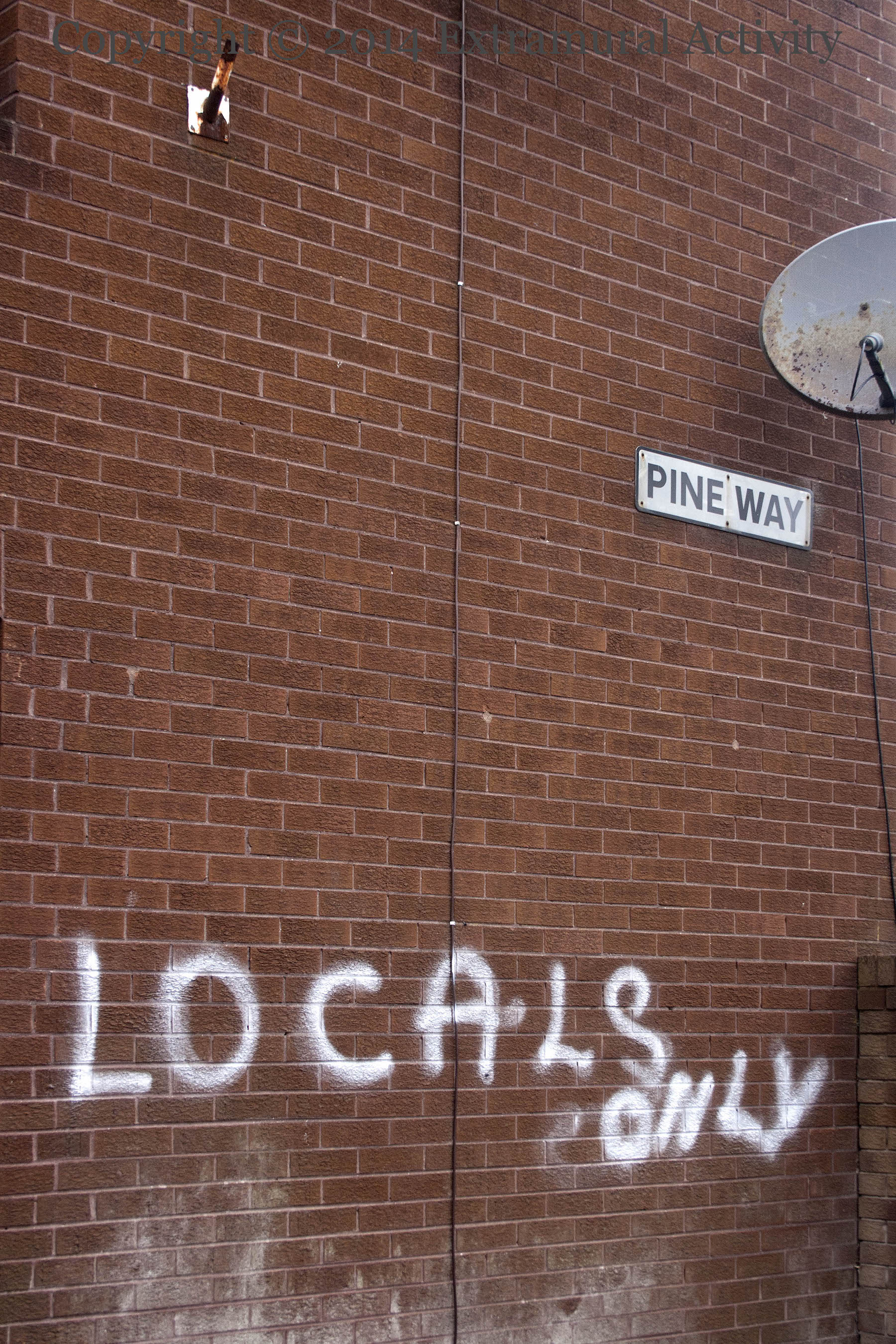 2014-08-09 LocalsOnlyPine+