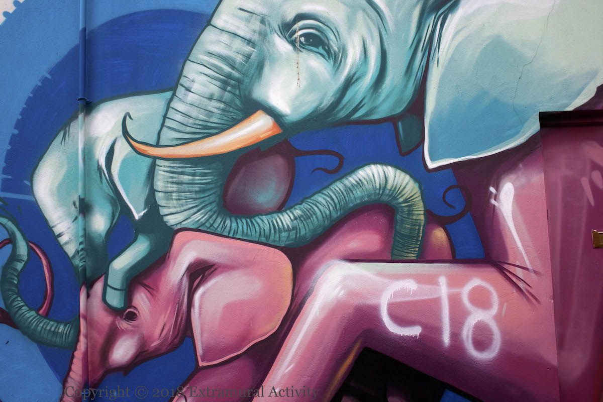 X06562 2019-04-26 Elephants C18+